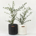 Planter Cover
